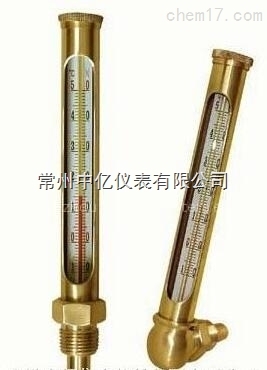 WNY-11銅(tong)金屬套溫度計(ji)廠家
