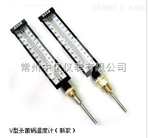 XY-020闆(pan)式殺菌鍋溫(wen)度計廠家